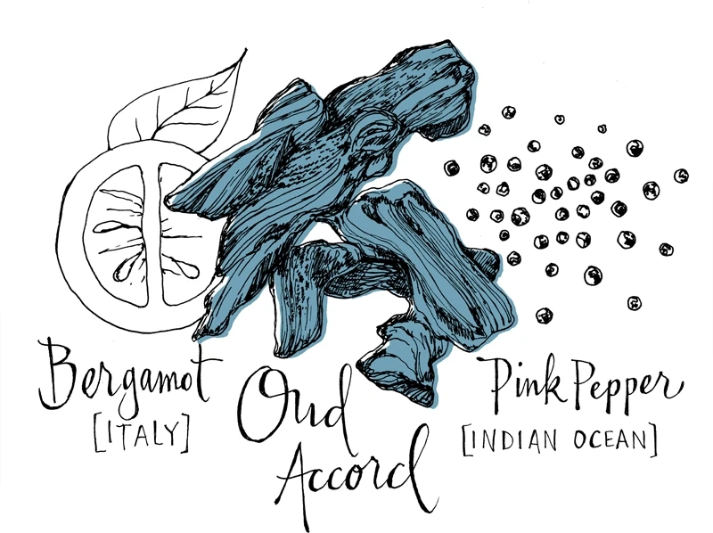 Atelier Cologne Oud Saphir 7 Atelier Cologne Oud Saphir â Image 7