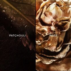 GUERLAIN Les Absolus D'Orient Patchouli Ardent -Maison Margiela Boutique guerlain les absolus dorient patchouli ardent eau de parfum mixte 2