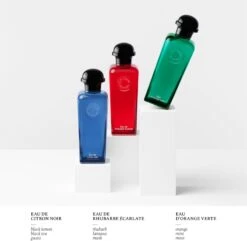 Hermès HERMÈS Colognes Collection Eau De Citron Noir -Maison Margiela Boutique hermes colognes collection eau de citron noir eau de cologne pour homme 4