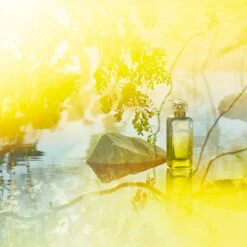 Hermès HERMÈS Le Jardin De Monsieur Li -Maison Margiela Boutique hermes le jardin de monsieur li eau de toilette mixte 1