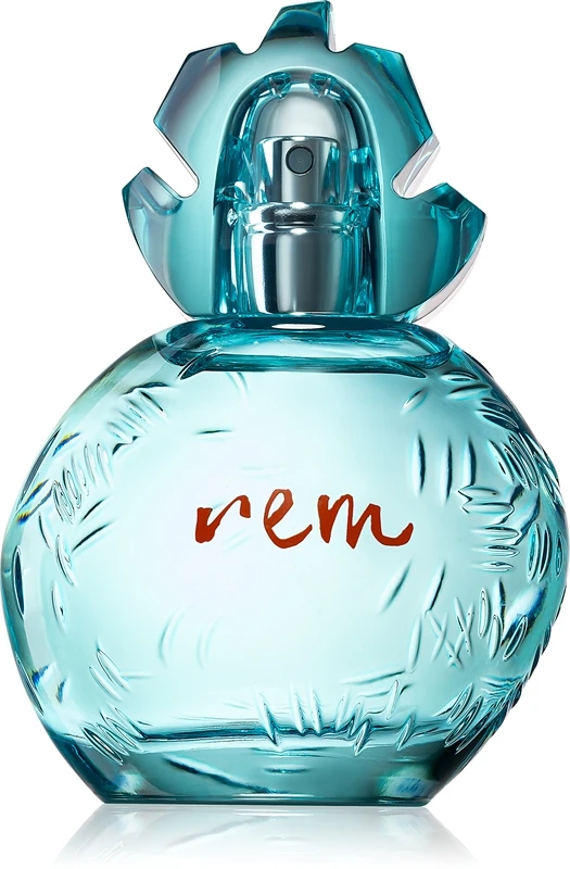 Reminiscence Rem 1 Reminiscence Rem